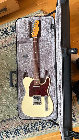 Fender AM Professional II Telecaster RW Olympic White, Elgitarr