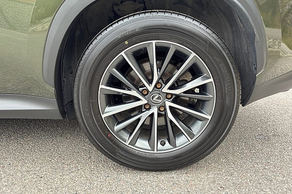 Lexus NX350h 21 of 25