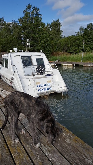 Finnmaster 7100 Fisher (2002) Inombordare diesel 2 of 3