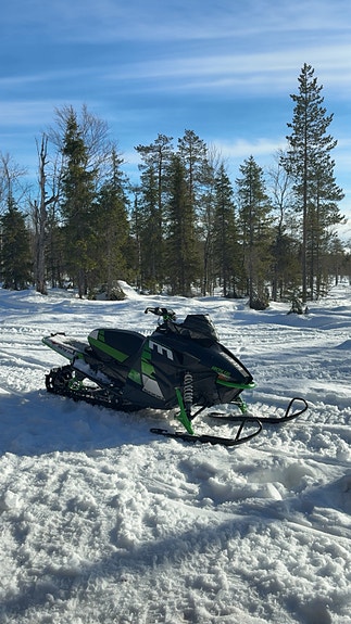 Arctic-cat 4 of 6