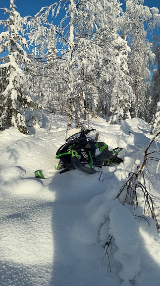 Arctic-cat 2 of 6