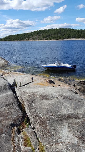 Silver Hawk 540 DC 2005 med Evinrude 90 E-TEC 90 hk 2 of 6