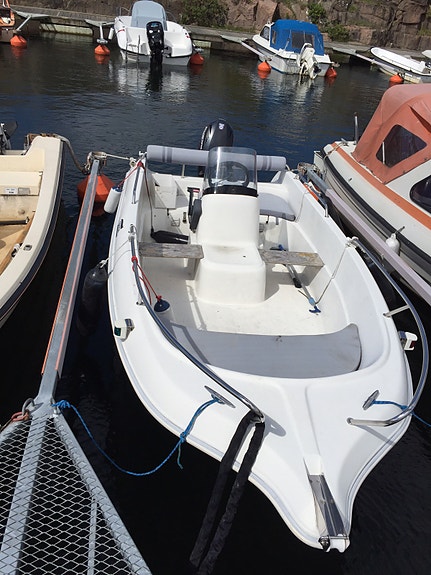 Galia 440 med Evinrude 50hk 3 of 5