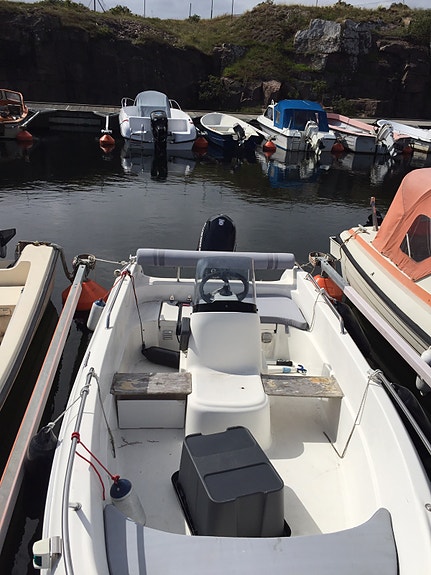 Galia 440 med Evinrude 50hk 5 of 5