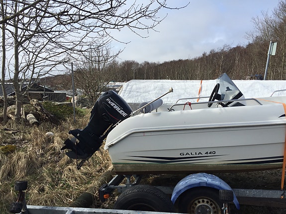 Galia 440 med Evinrude 50hk 2 of 5