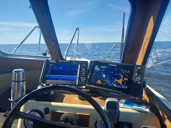 Ryds natica 6,3m 4 of 6