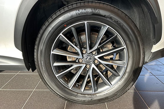 Lexus NX450h+ 20 of 23