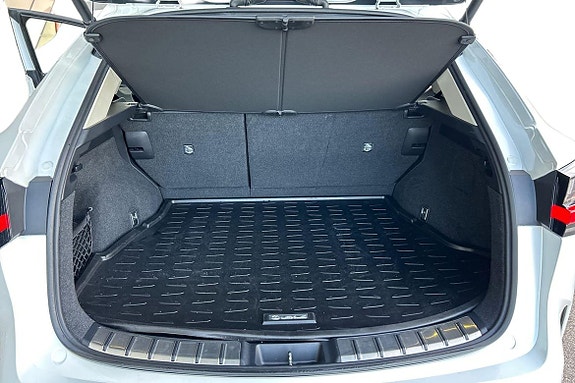 Lexus NX450h+ 17 of 23