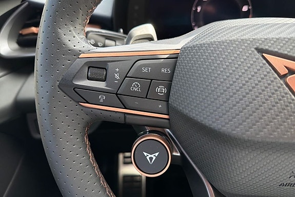 Cupra Terramar 10 of 23