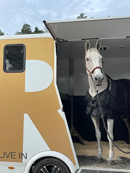 Renault Master 8 of 10