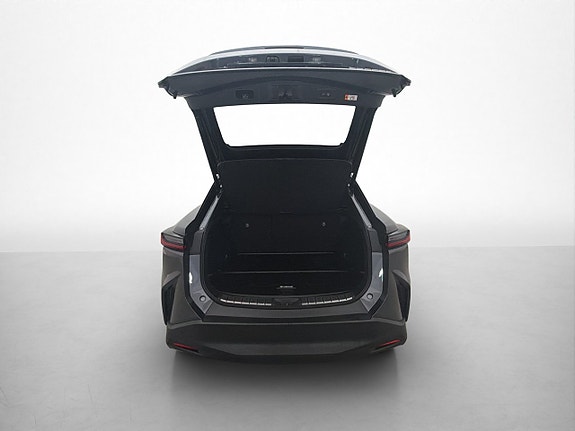 Lexus RZ350e 19 of 30