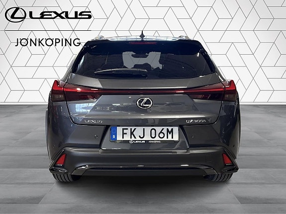 Lexus UX300h 6 of 16