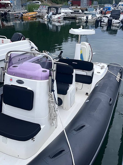 Brig 580 Eagle - 2015 - Evinrude 115 - 32 knop 8 of 12