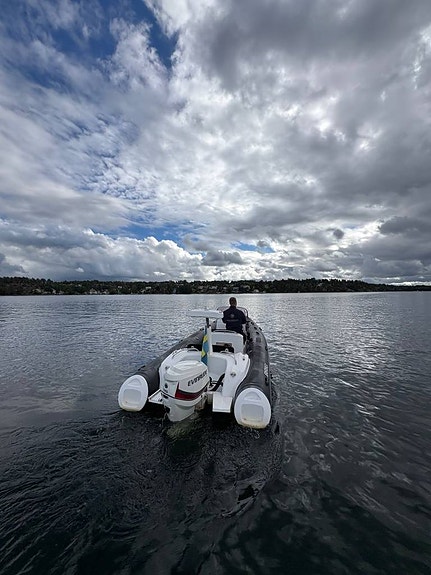 Brig 580 Eagle - 2015 - Evinrude 115 - 32 knop 5 of 12