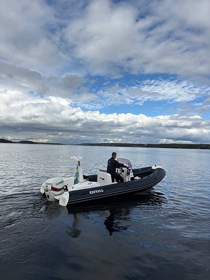 Brig 580 Eagle - 2015 - Evinrude 115 - 32 knop 2 of 12
