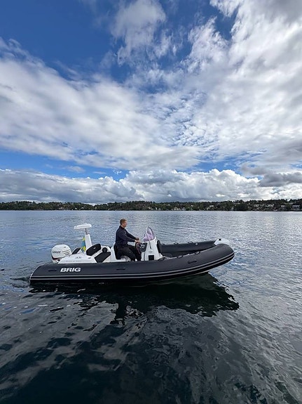 Brig 580 Eagle - 2015 - Evinrude 115 - 32 knop 4 of 12