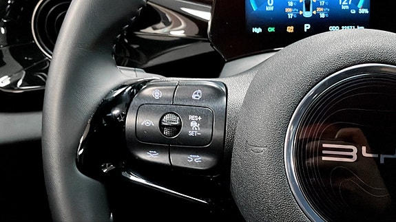 BYD Dolphin 20 of 25