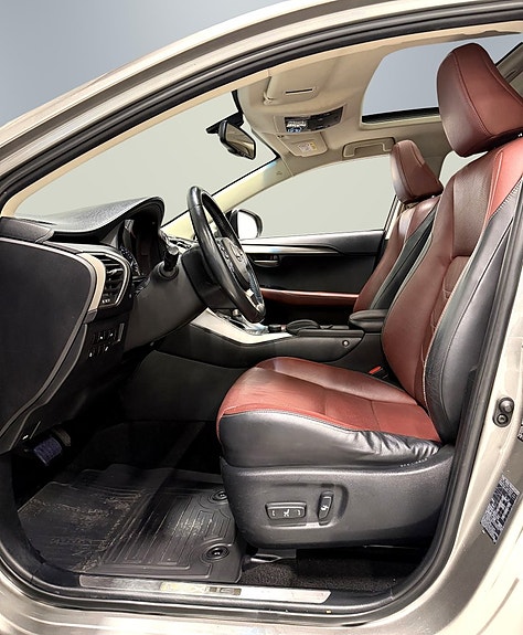 Lexus NX300h 10 of 29