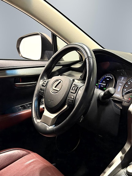 Lexus NX300h 13 of 29