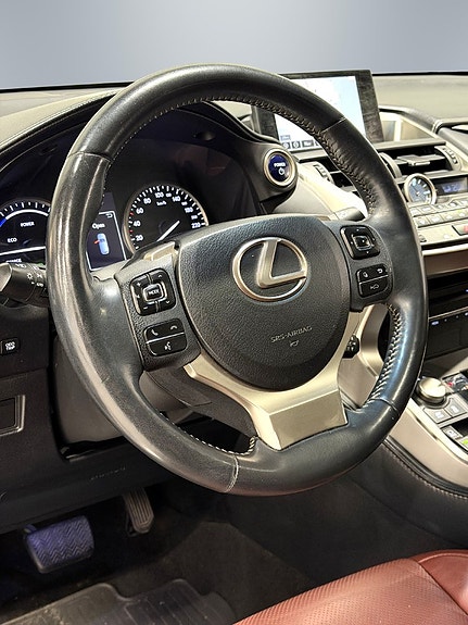 Lexus NX300h 12 of 29