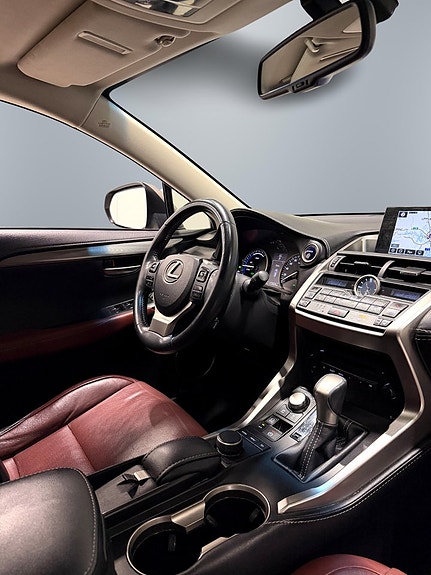 Lexus NX300h 14 of 29