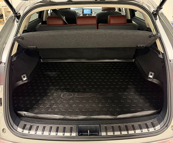 Lexus NX300h 17 of 29