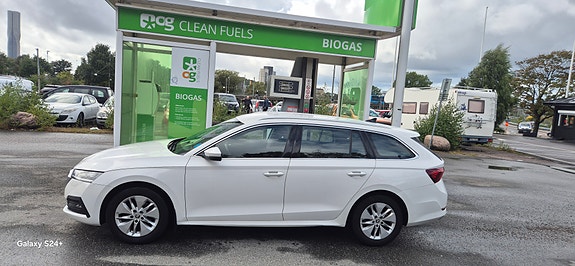 Skoda Octavia 3 of 3
