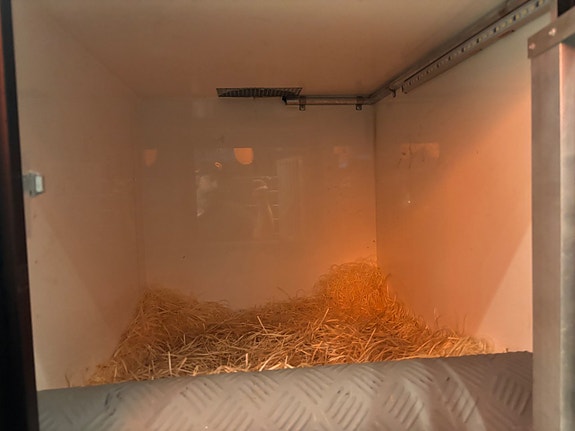 Isuzu D-max 7 of 9