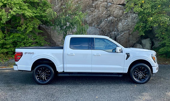 Ford F-150 3 of 10