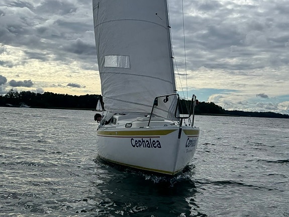 Albin viggen nr 882 till höstpris 2 of 8