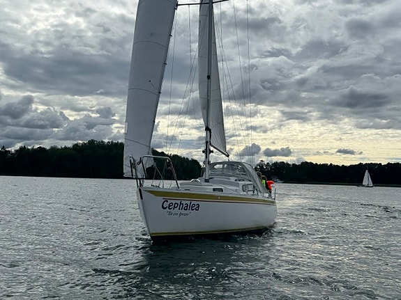 Albin viggen nr 882 till höstpris 3 of 8