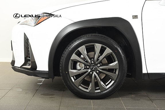 Lexus UX300h 15 of 15