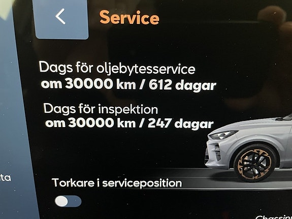 Cupra Terramar 17 of 20