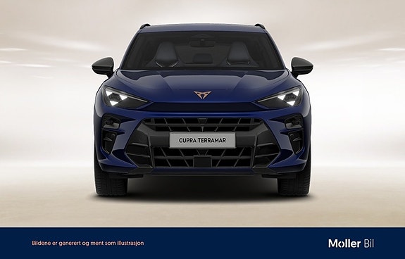 Cupra Terramar 3 of 10