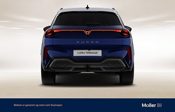 Cupra Terramar 9 of 10