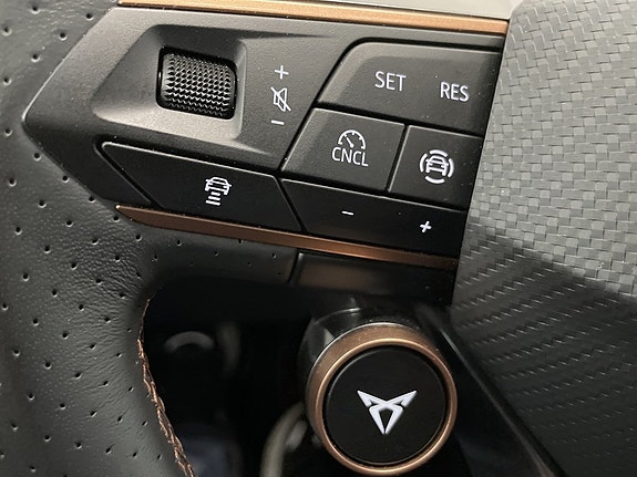 Cupra Terramar 14 of 20