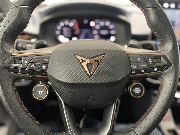 Cupra Terramar 16 of 20