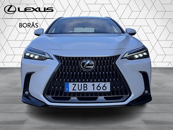 Lexus NX450h+ 7 of 24