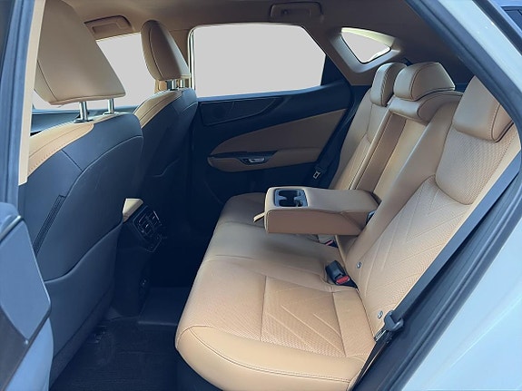 Lexus NX450h+ 9 of 24