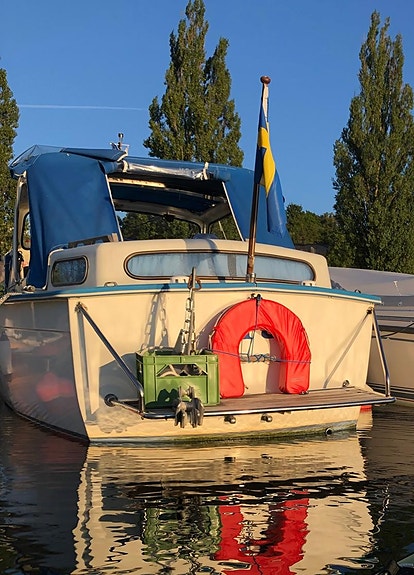 Trygg och lättkörd Albin de Luxe – startar alltid 6 of 21