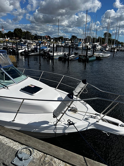 Wellcraft obs 231 timmar 5 of 10