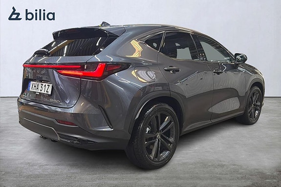 Lexus NX450h+ 19 of 21