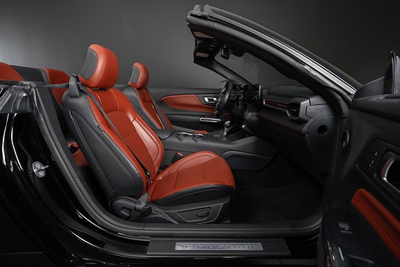 Ford Mustang 20 of 29