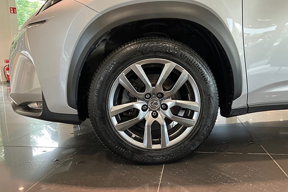 Lexus NX300h 19 of 21