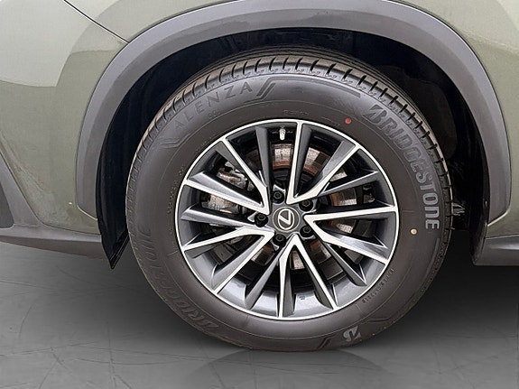Lexus NX350h 27 of 29