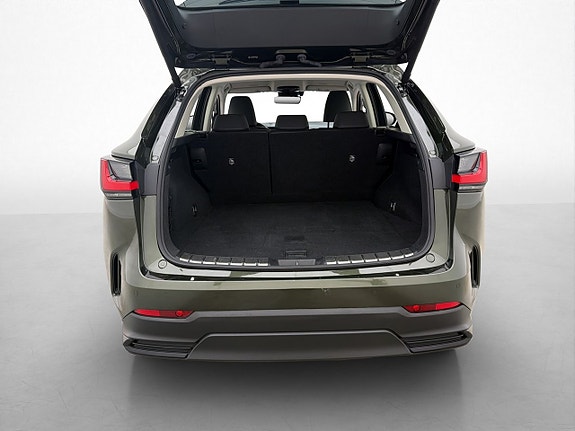 Lexus NX350h 24 of 29