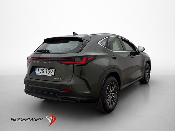 Lexus NX350h 8 of 29