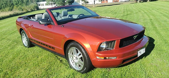 Ford Mustang 3 of 19