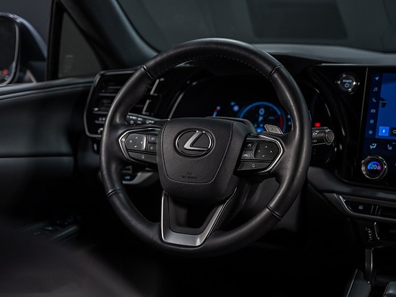 Lexus RX350h 28 of 30