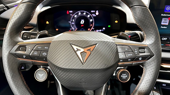 Cupra Terramar 18 of 21